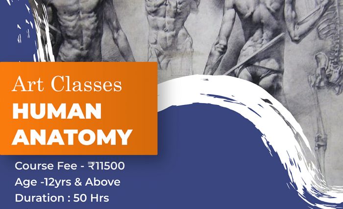 Human Anatomy-01 (1)